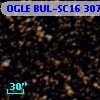 OGLE BUL-SC16 307304