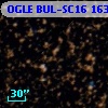 OGLE BUL-SC16 163023