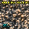 OGLE BUL-SC18 432509