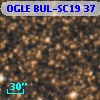 OGLE BUL-SC19     37