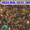 OGLE BUL-SC35 307875