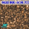 OGLE BUL-SC36 722853