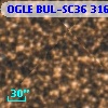 OGLE BUL-SC36 316401