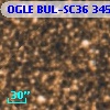 OGLE BUL-SC36 345299