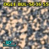 OGLE BUL-SC36 557411