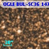 OGLE BUL-SC36 147367