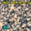 OGLE BUL-SC36 373897