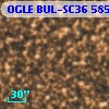 OGLE BUL-SC36 585137