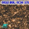 OGLE BUL-SC36 175031
