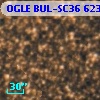 OGLE BUL-SC36 623028