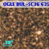 OGLE BUL-SC36 635681