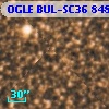 OGLE BUL-SC36 848566
