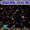 OGLE BUL-SC42 462652