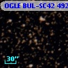 OGLE BUL-SC42 492041