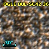 OGLE BUL-SC42 365569