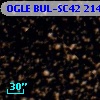 OGLE BUL-SC42 214231