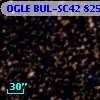 OGLE BUL-SC42  82550