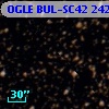 OGLE BUL-SC42 242560