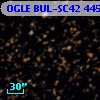 OGLE BUL-SC42 445370
