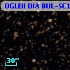 OGLEII DIA BUL-SC16    132