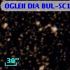 OGLEII DIA BUL-SC16   1324