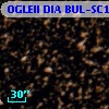 OGLEII DIA BUL-SC16   1962