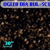 OGLEII DIA BUL-SC16   2455
