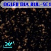OGLEII DIA BUL-SC16   2917