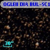 OGLEII DIA BUL-SC16   4503