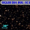 OGLEII DIA BUL-SC17   1666