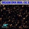 OGLEII DIA BUL-SC17   3112