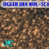 OGLEII DIA BUL-SC18     10