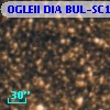 OGLEII DIA BUL-SC18    395