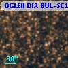 OGLEII DIA BUL-SC18   1021