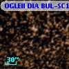 OGLEII DIA BUL-SC18   2891