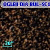 OGLEII DIA BUL-SC18   2951