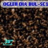 OGLEII DIA BUL-SC18   2973