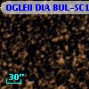 OGLEII DIA BUL-SC18   3299