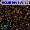 OGLEII DIA BUL-SC18   3960