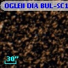 OGLEII DIA BUL-SC18   4059