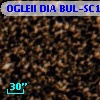 OGLEII DIA BUL-SC18   4884