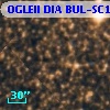 OGLEII DIA BUL-SC19    153