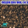 OGLEII DIA BUL-SC19    631