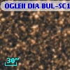 OGLEII DIA BUL-SC19    990