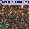 OGLEII DIA BUL-SC19   1115