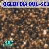OGLEII DIA BUL-SC19   1269