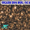 OGLEII DIA BUL-SC19   1422