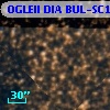 OGLEII DIA BUL-SC19   1927
