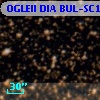 OGLEII DIA BUL-SC19   2089