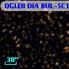 OGLEII DIA BUL-SC19   2495